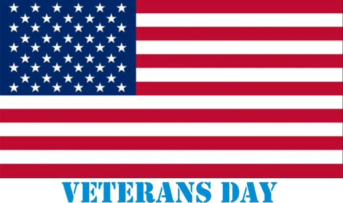 Veterans Day USA 2023